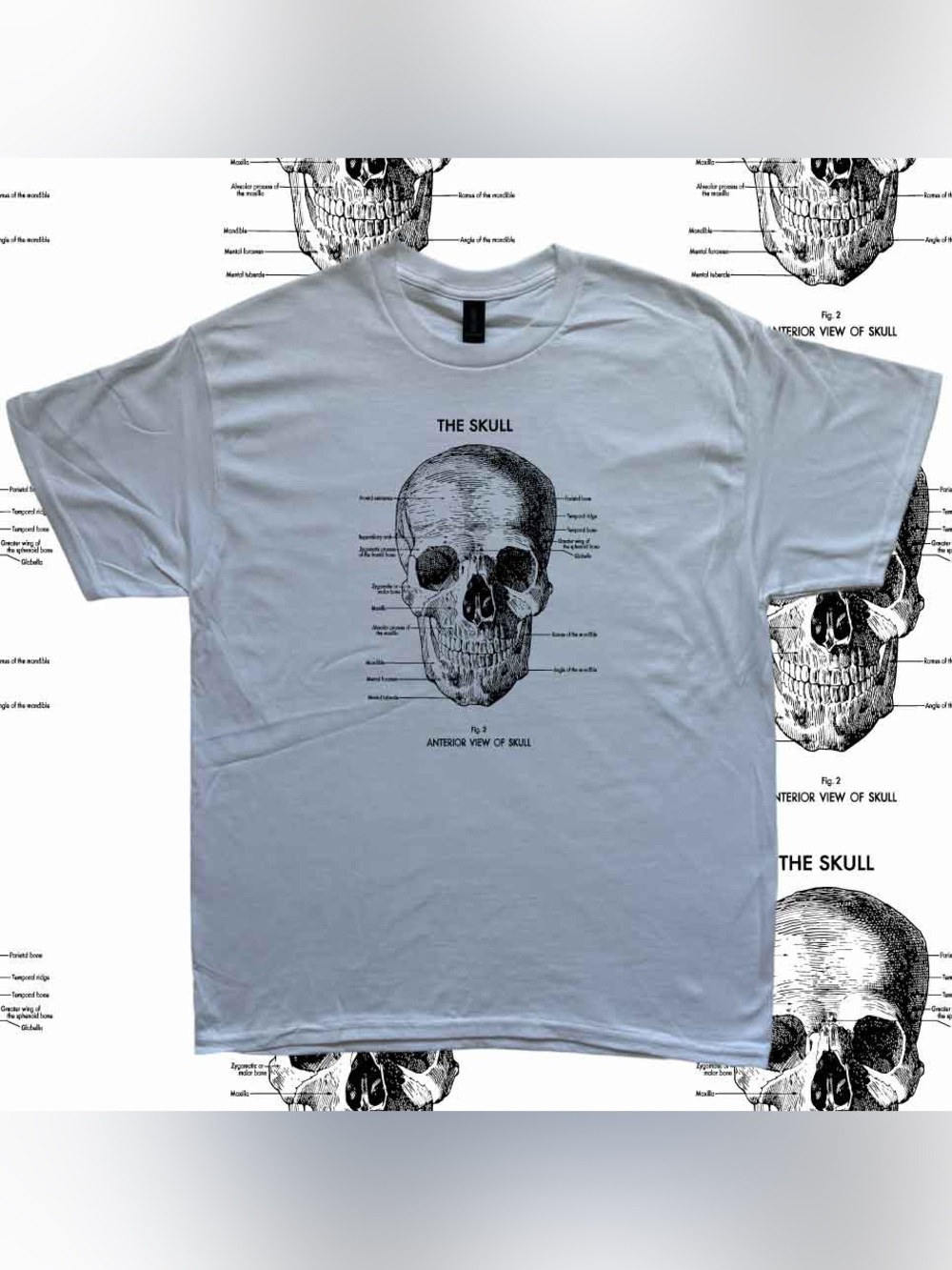 Vintage anatomy skull graphic tee Anterior view of skull tee medical diagram